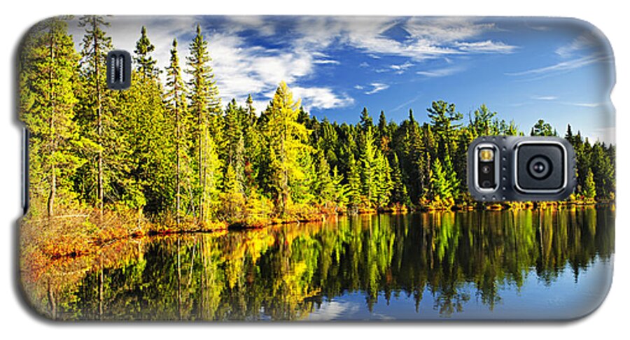 Lake Galaxy S5 Case featuring the photograph Forest reflecting in lake by Elena Elisseeva