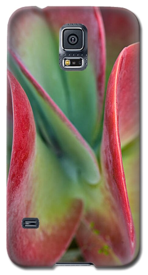 Flower Galaxy S5 Case featuring the photograph Curves by Jean-Pierre Ducondi