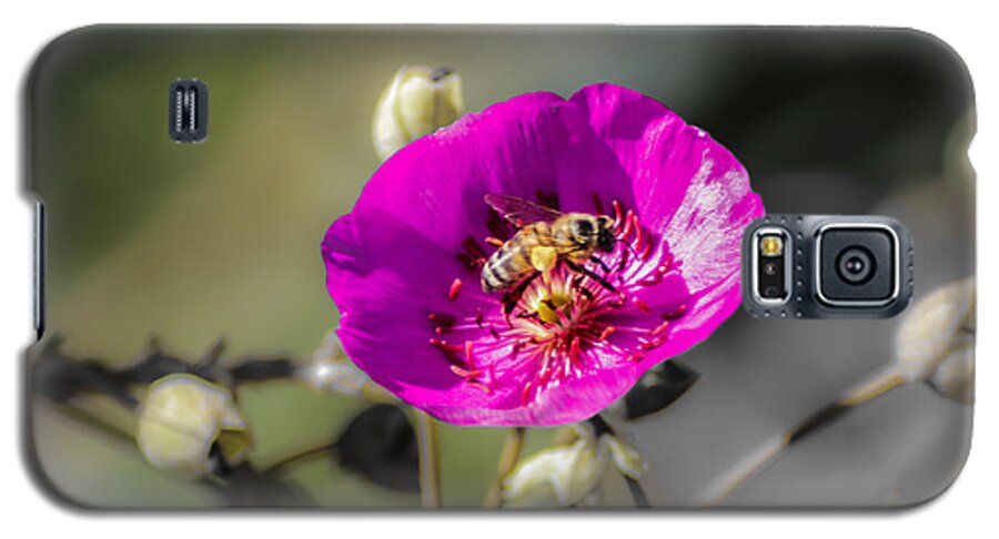 Bee Galaxy S5 Case featuring the digital art Fower and Bee by Photographic Art by Russel Ray Photos