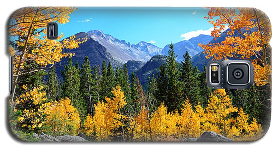 Bear Galaxy S5 Case featuring the photograph Framed in Gold by Tranquil Light Photography