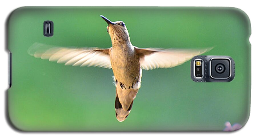 Hummingbird Galaxy S5 Case featuring the photograph Free to Dance by Debby Pueschel