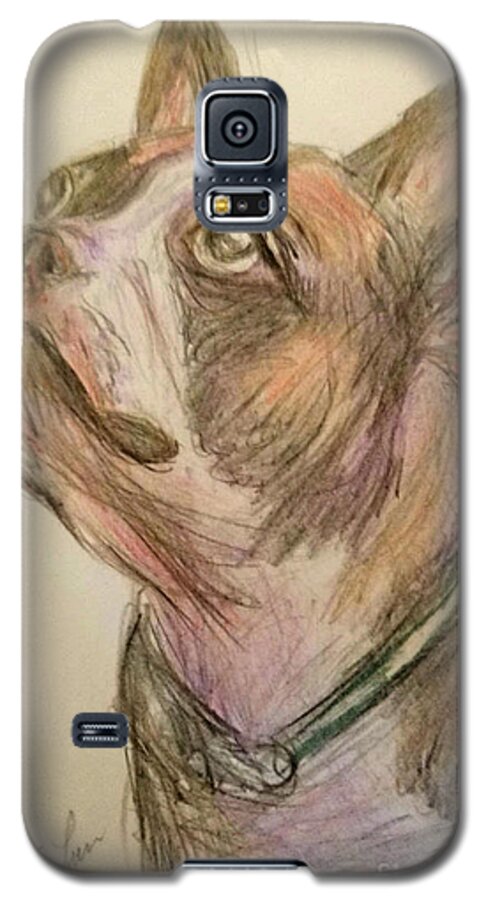 Animal Galaxy S5 Case featuring the drawing French Bull Dog by Lyric Lucas
