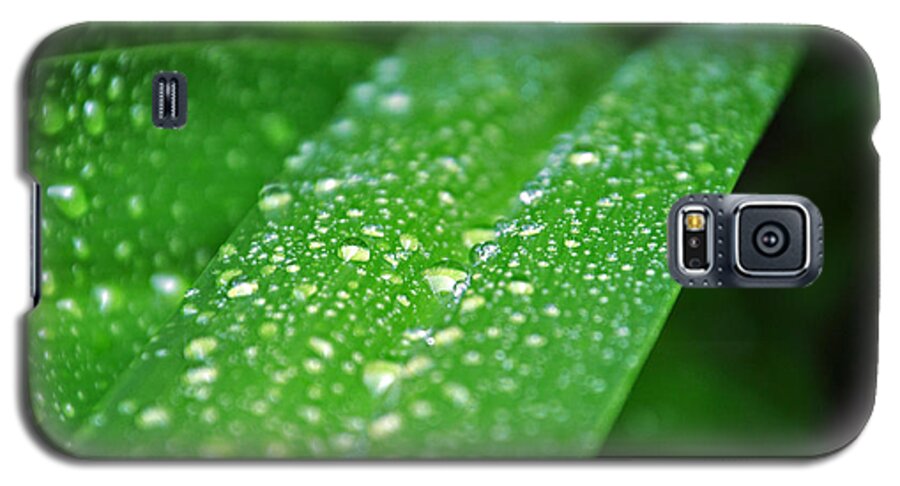 Green Plant Galaxy S5 Case featuring the photograph Fresh Rain Drops by Jeanne May