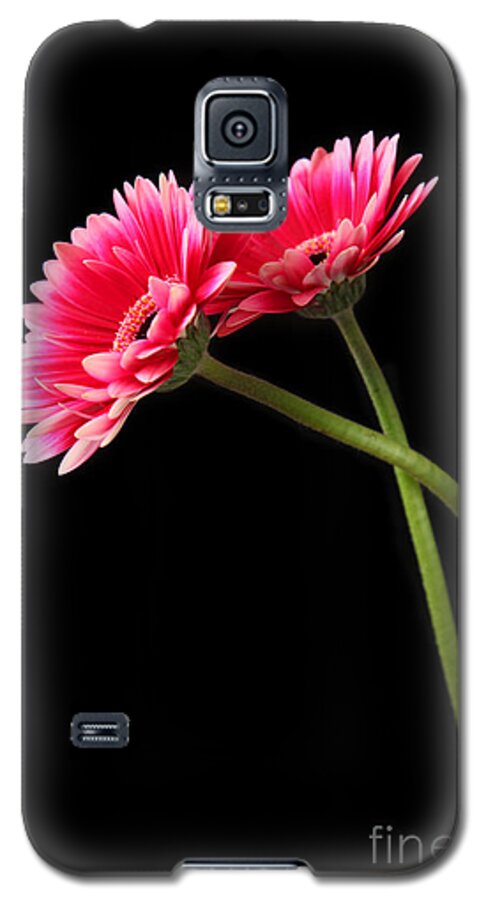 Daisy Galaxy S5 Case featuring the photograph Friends by Eden Baed