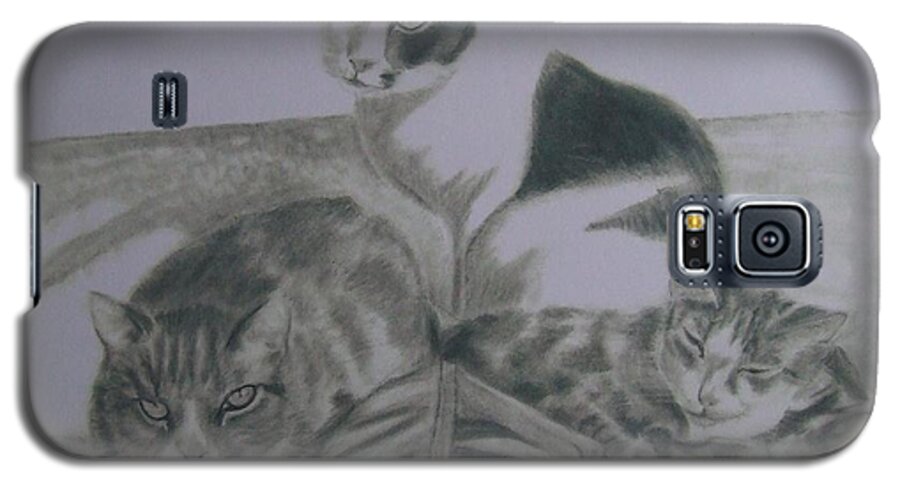 Sandra Muirhead Artist Cats Portrait Pets Relaxing Cats French Cats Galaxy S5 Case featuring the drawing Friends by Sandra Muirhead