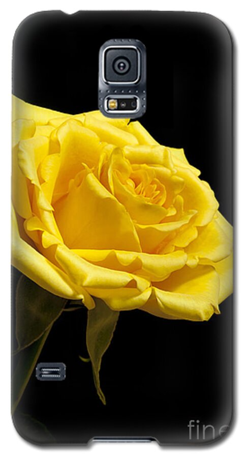 Rose Galaxy S5 Case featuring the photograph Friendship by Patty Colabuono