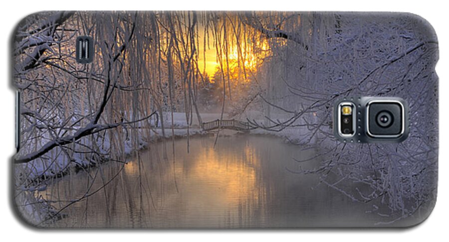 Snow Galaxy S5 Case featuring the photograph Frosty Morn 2 by Dan Myers
