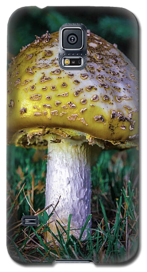 Mushroom Galaxy S5 Case featuring the photograph Fun Gus by Rick Bartrand