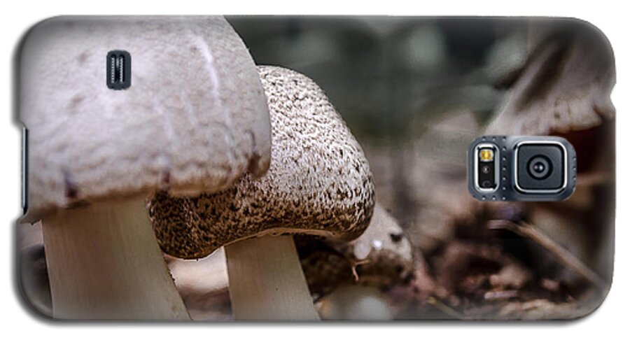 Mushrooms Galaxy S5 Case featuring the photograph Fungi Family by Rick Bartrand