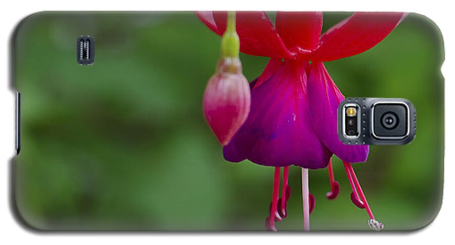 Fuschia Galaxy S5 Case featuring the photograph Fuschia Flower by Ron White