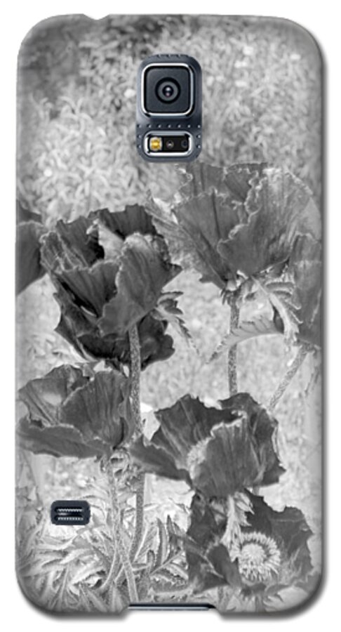 Flower Galaxy S5 Case featuring the photograph Garden Beauty by William Haggart