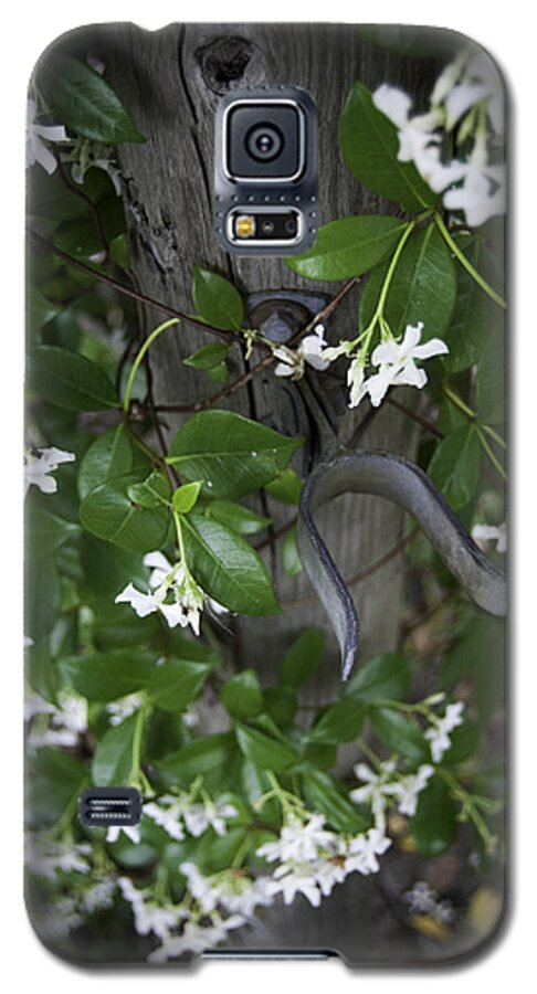 Gate Galaxy S5 Case featuring the photograph Garden Gate by Judy Hall-Folde