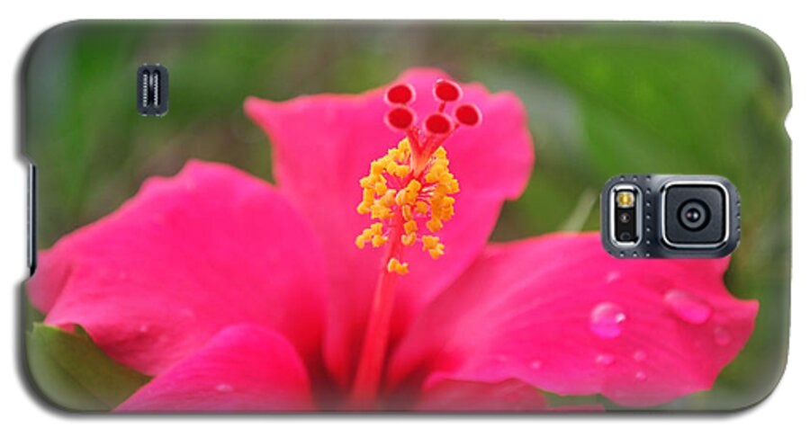 Garden Galaxy S5 Case featuring the photograph Garden Rains by Miguel Winterpacht
