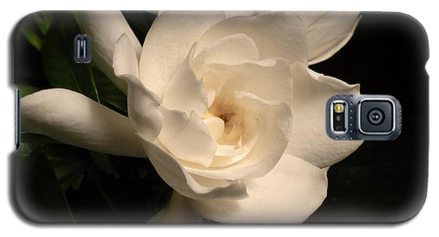Flower Galaxy S5 Case featuring the photograph Gardenia Blossom by Deborah Smith