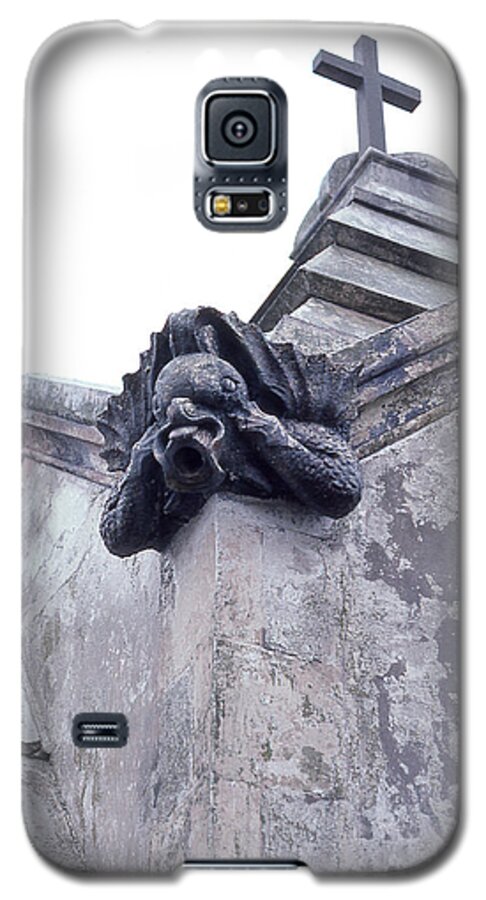 Gargoyle Galaxy S5 Case featuring the photograph Gargoyle on the Italian Vault by Terry Webb Harshman
