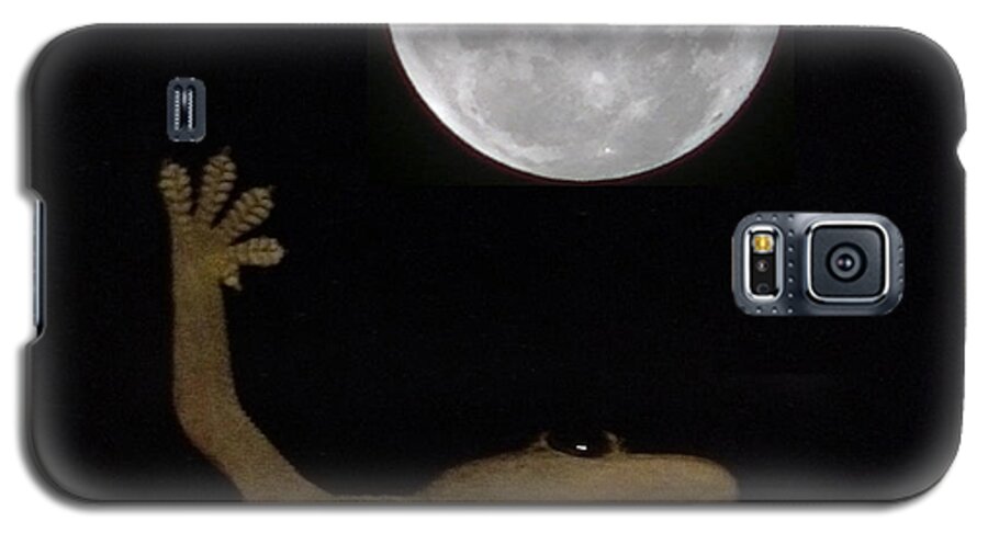 Picoftheday Galaxy S5 Case featuring the photograph Gecko Moon by Cameron Bentley