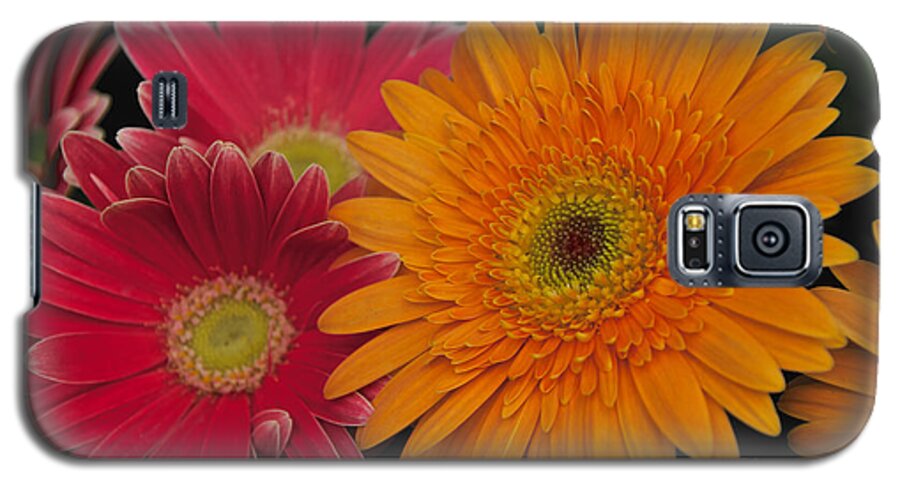 Pink Galaxy S5 Case featuring the photograph Gerbera by William Norton