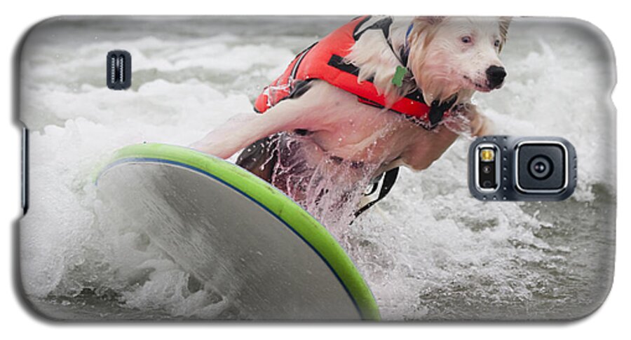 Dog Galaxy S5 Case featuring the photograph Get me off of here by Nathan Rupert