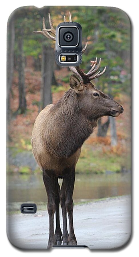 Side Galaxy S5 Case featuring the photograph Get My Good Side by Vicki Spindler