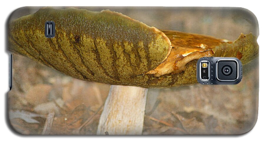 Mushroom Galaxy S5 Case featuring the photograph Giant Mushroom by Linda Segerson