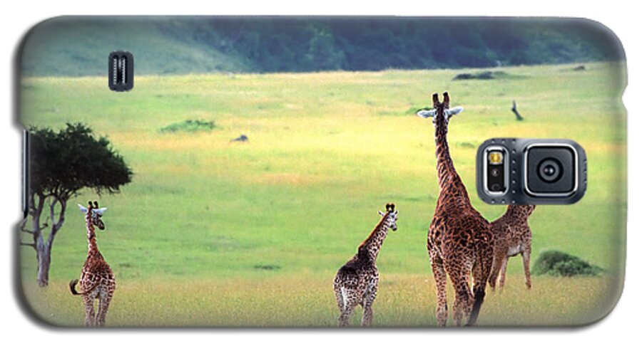 Giraffe Galaxy S5 Case featuring the photograph Giraffe by Sebastian Musial