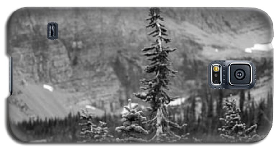 Alex Blondeau Galaxy S5 Case featuring the photograph Gnarled Pines by Alex Blondeau