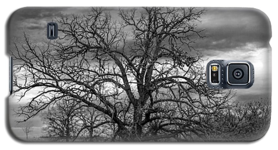 Black And White Galaxy S5 Case featuring the photograph Gnarly Tree by Sennie Pierson