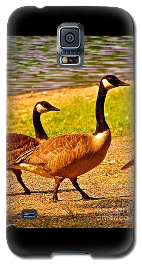 Geese Galaxy S5 Case featuring the photograph Go Geese by LeLa Becker