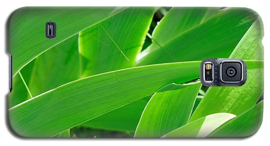 Green Galaxy S5 Case featuring the photograph Go Green 2 by Chad and Stacey Hall