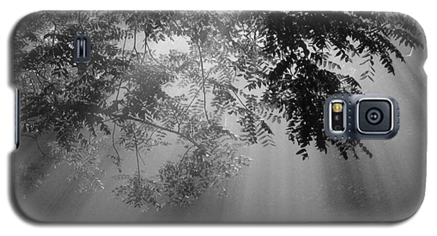 Fog Galaxy S5 Case featuring the photograph God Rays by Douglas Stucky