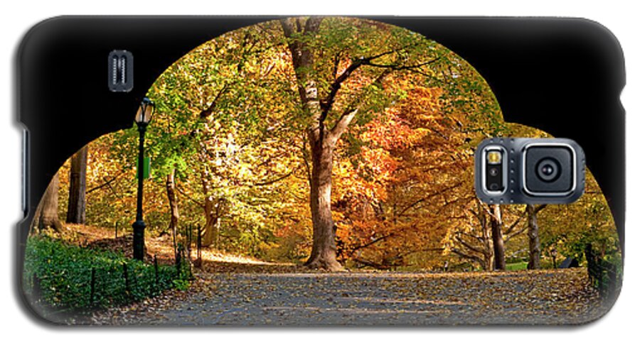 Central Park Galaxy S5 Case featuring the photograph Golden Underpass by S Paul Sahm
