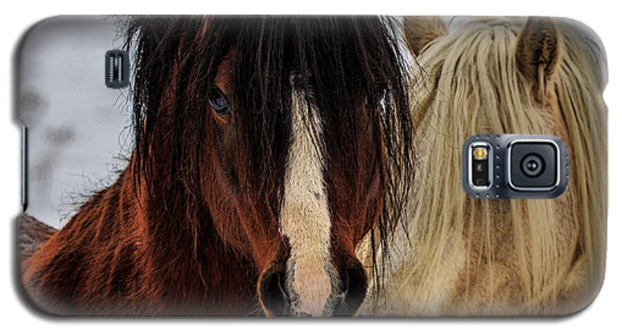 Horse Galaxy S5 Case featuring the photograph Good Friends by Everet Regal