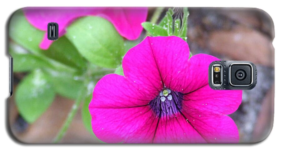 Pink Galaxy S5 Case featuring the photograph Good morning by Andrea Anderegg