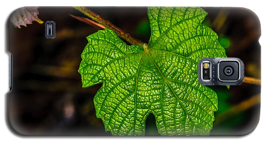 Grape Leaves Galaxy S5 Case featuring the photograph Grapes of Rath by Louis Dallara