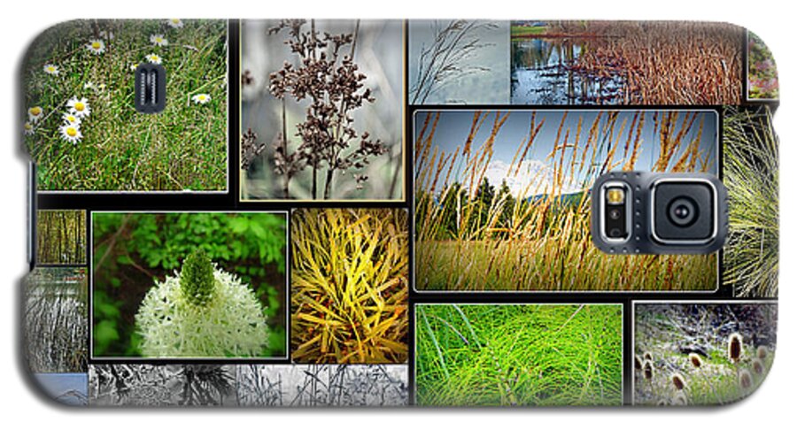 Grass Collage Variety Galaxy S5 Case featuring the photograph Grass Collage Variety by Tikvah's Hope
