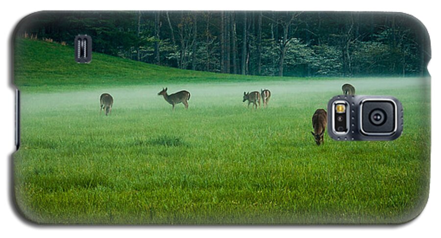 Great Smoky Mountains National Park Galaxy S5 Case featuring the photograph Grazing Deer by Jay Stockhaus