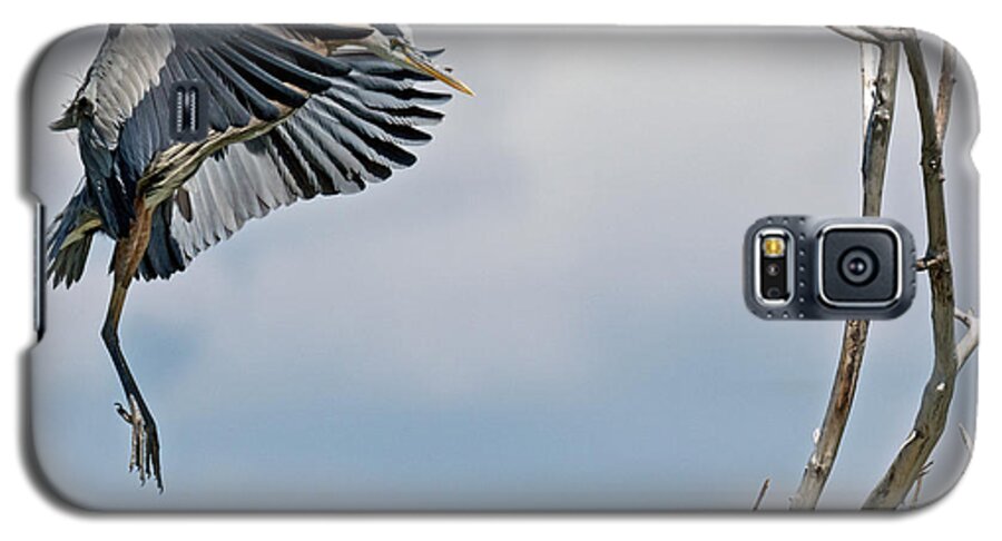 Heron Galaxy S5 Case featuring the photograph Great Blue Heron Approaching Nest by Stephen Johnson