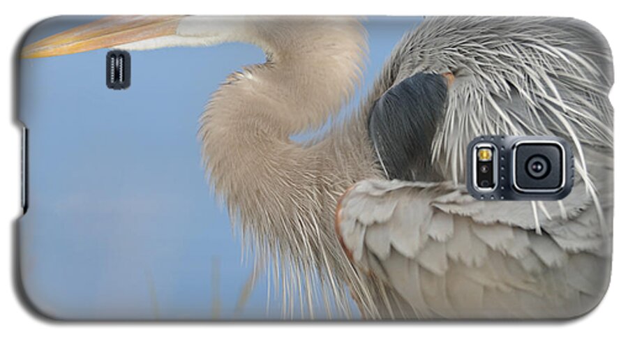 Great Blue Heron Galaxy S5 Case featuring the photograph Great Blue Heron by Bradford Martin