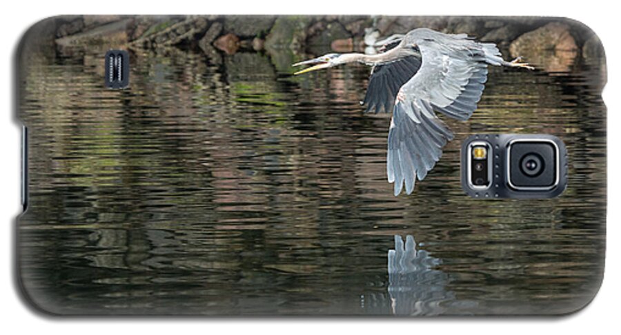 Heron Galaxy S5 Case featuring the photograph Great Blue Heron Reflections by Jennifer Casey