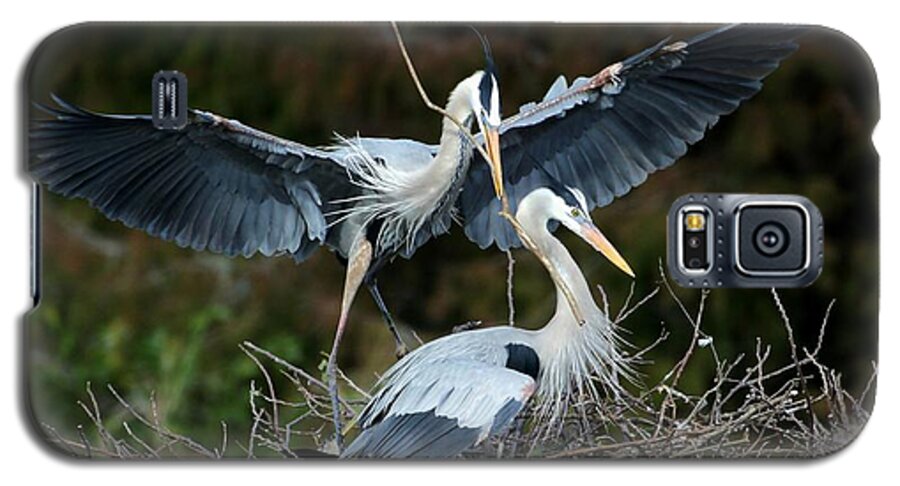Heron Galaxy S5 Case featuring the photograph Great Blue Herons Nesting by Sabrina L Ryan