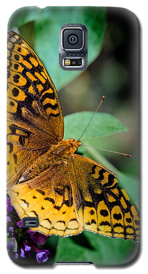 Great Galaxy S5 Case featuring the photograph Great Spangled Fritillary by Jim DeLillo