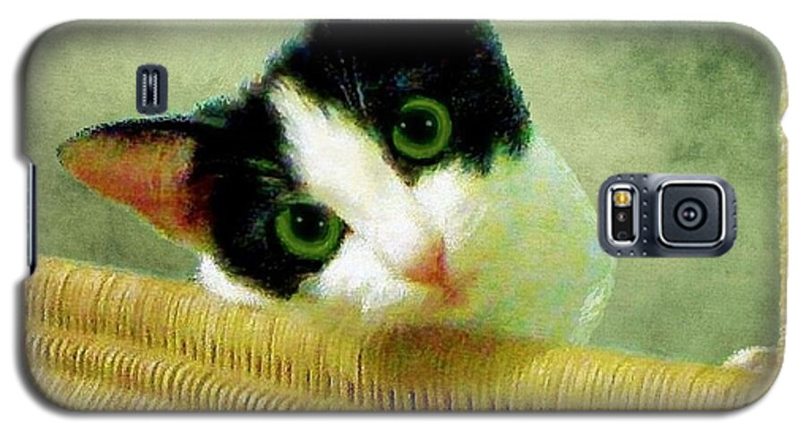 Cat Galaxy S5 Case featuring the photograph Green Eyed Cat on Wicker by Janette Boyd