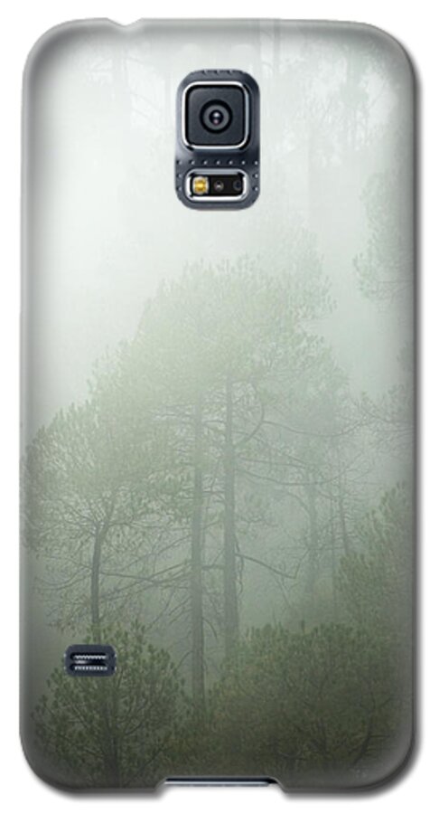 Landscape Galaxy S5 Case featuring the photograph Green Mist by Rajiv Chopra