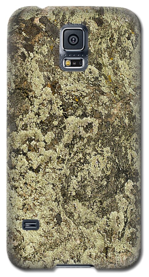 Moss Galaxy S5 Case featuring the photograph Green Moss by Les Palenik