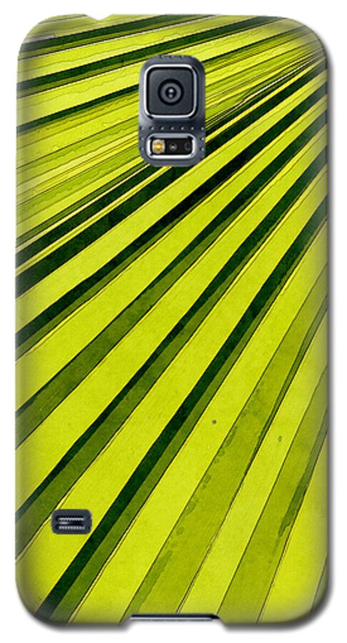 Palms Galaxy S5 Case featuring the photograph Green Palm Frond by Phil Perkins