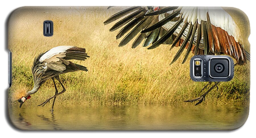 Grey Crowned Crane Galaxy S5 Case featuring the photograph Grey Crowned Cranes by Brian Tarr