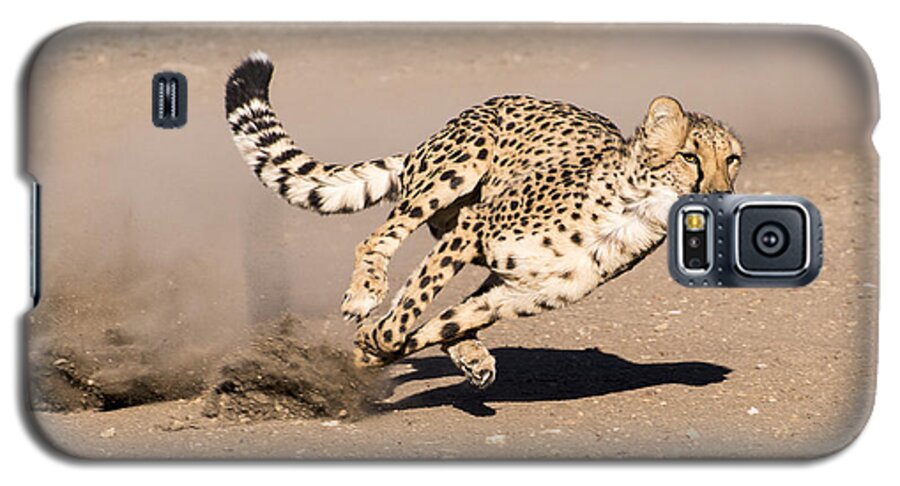 Cheetah Galaxy S5 Case featuring the photograph Guided Missile by Alex Lapidus