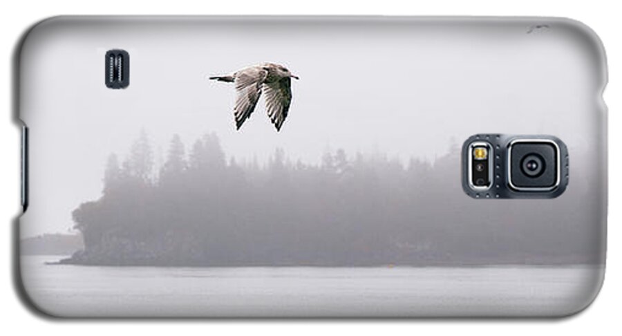 Gull Galaxy S5 Case featuring the photograph Gull in Flight by Marty Saccone
