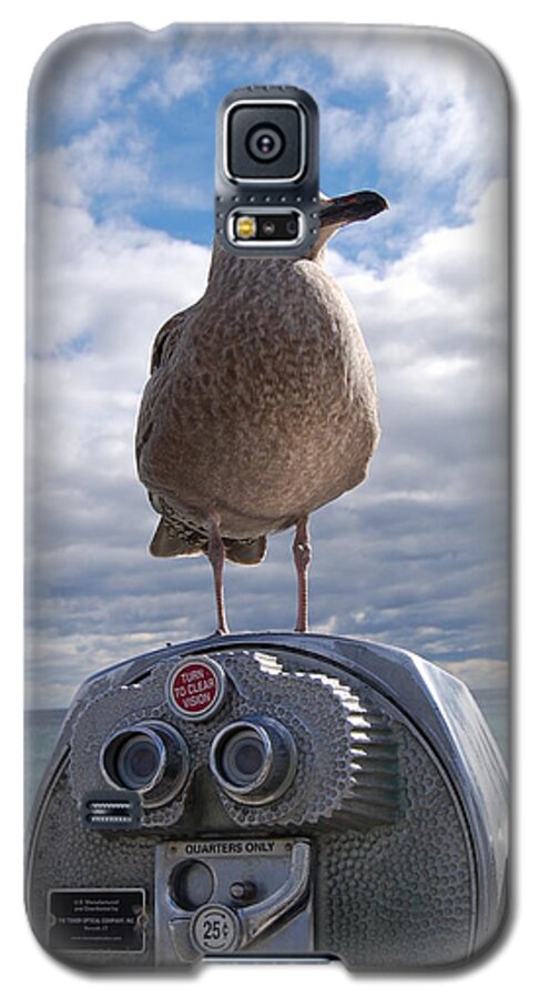 Seagull Galaxy S5 Case featuring the photograph Gull by Mim White