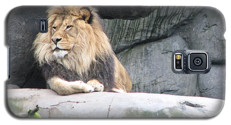 Animal Galaxy S5 Case featuring the photograph Handsome Devil 2 by Lora R Fisher